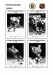 NHL bos 1955-56 foto hracu4